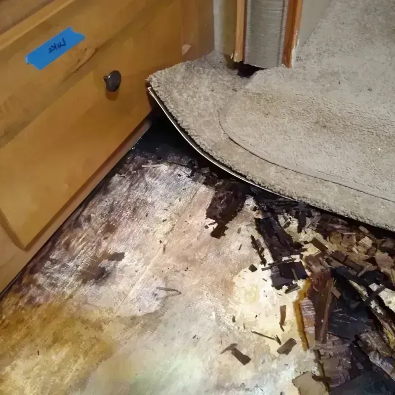 Best Wood Floor Water Damage Service in Ohkay Owingeh, NM